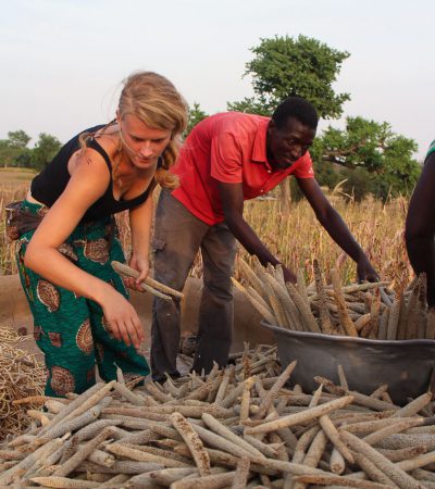 Kan compost de kleine boer in Noord-Ghana helpen?